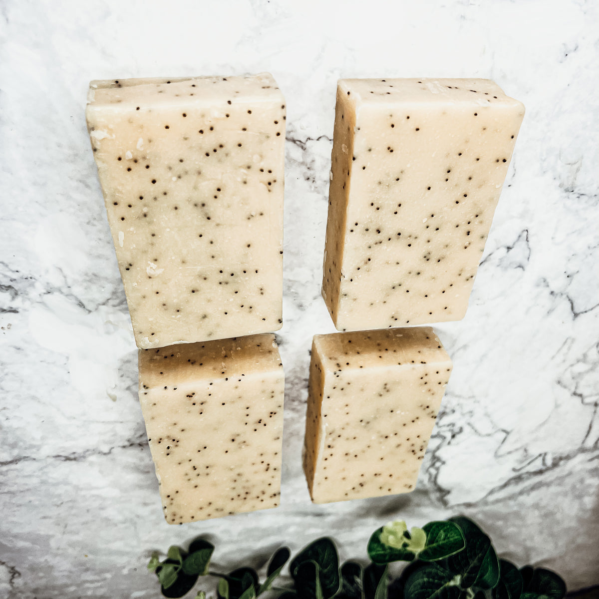 Poppy Seed Exfoliant-Olive-Sunflower