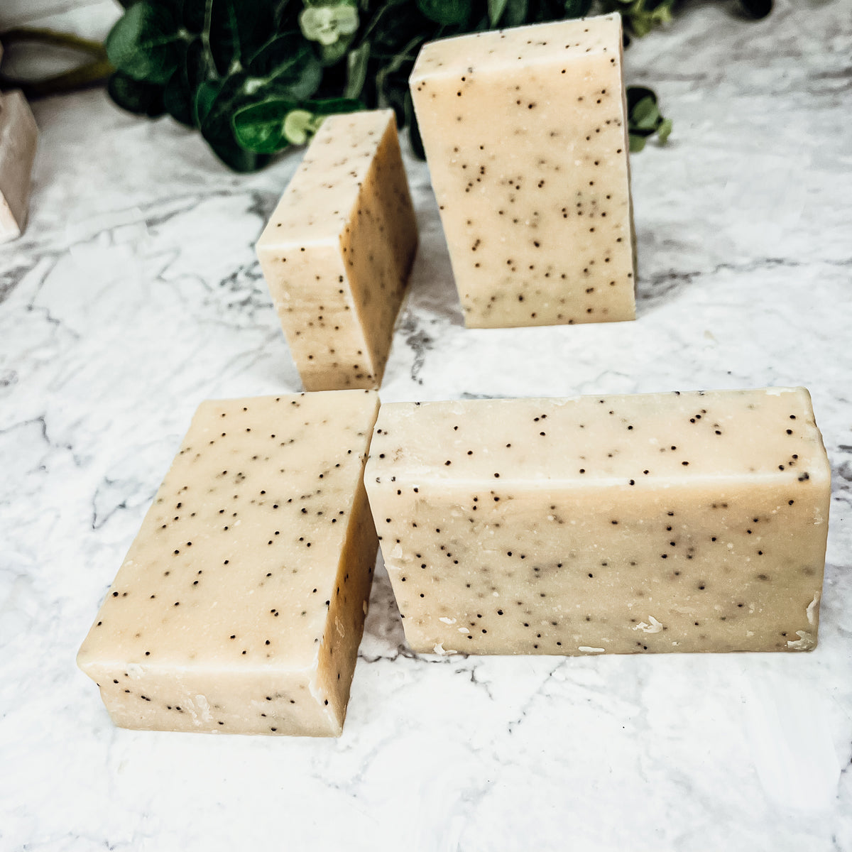 Poppy Seed Exfoliant-Olive-Sunflower