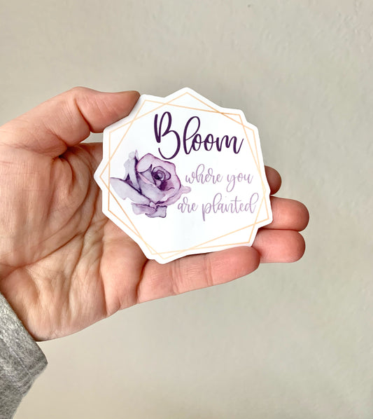 Bloom Where Planted Sticker/Magnet