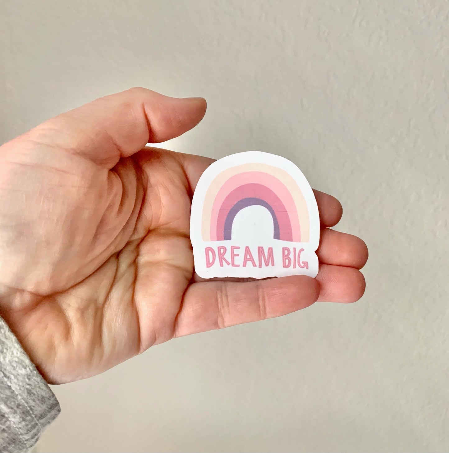 Dream Big Sticker/Magnet