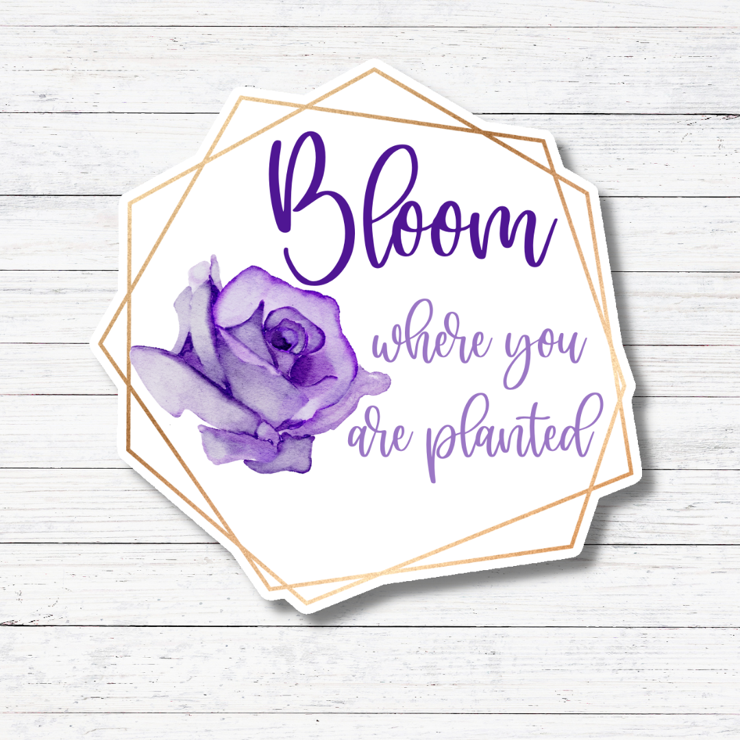 Bloom Where Planted Sticker/Magnet