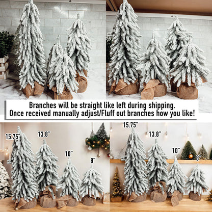 Snow Christmas Trees 4pk